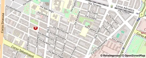 Mappa Turin