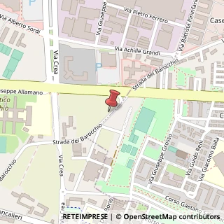 Mappa Strada del Barocchio, 160, 10095 Grugliasco, Torino (Piemonte)