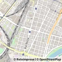 Peta Torino