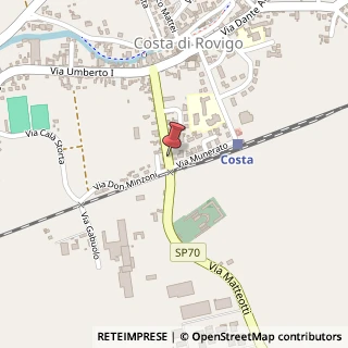Mappa Via G. Matteotti, 243, 45023 Costa di Rovigo, Rovigo (Veneto)