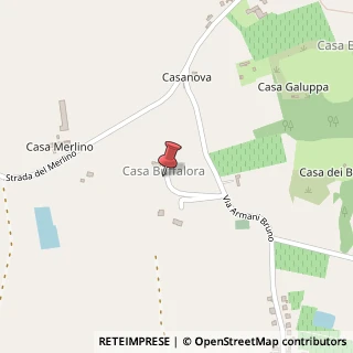 Mappa Via Bruno Armani, 6, 29015 Castel San Giovanni, Piacenza (Emilia Romagna)
