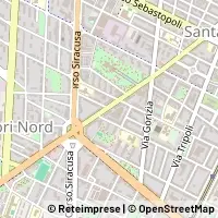Peta Torino
