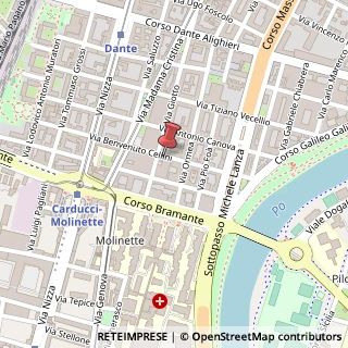 Mappa Via Benvenuto Cellini, 22, 10128 Torino, Torino (Piemonte)