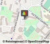 Palestre e Centri Fitness,10137Torino