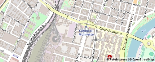 Mappa Turin
