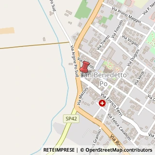 Mappa Via Enrico Ferri, 7, 46027 San Benedetto Po, Mantova (Lombardia)
