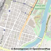 Carte Torino