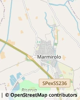 Aziende Agricole Marmirolo,46045Mantova