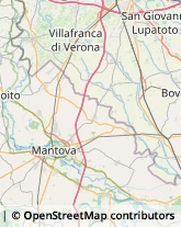 Trasporti Ferroviari Bagnolo San Vito,46031Mantova