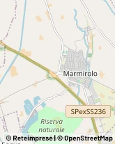 Elettrauto Marmirolo,46045Mantova