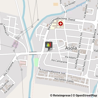Assicurazioni Asola,46041Mantova
