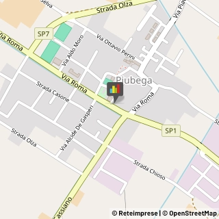 Logopedia Piubega,46040Mantova