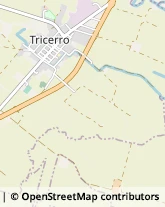 Ristoranti Tricerro,13038Vercelli