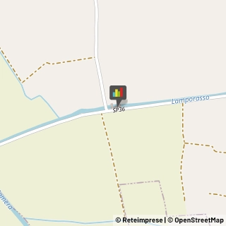 Animali Domestici - Centri Allevamento e Addestramento,13046Vercelli