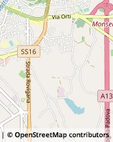 Assicurazioni Monselice,35043Padova