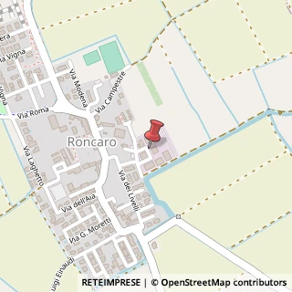 Mappa Via dei Livelli, 22, 27010 Roncaro, Pavia (Lombardia)