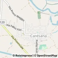 Map Caresana