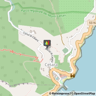 Fast Food e Self Service Cetara,84010Salerno