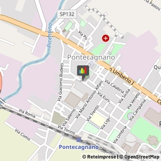 Piante e Fiori - Dettaglio Pontecagnano Faiano,84098Salerno