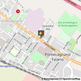 Alimenti Surgelati - Dettaglio Pontecagnano Faiano,84098Salerno