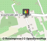 Aziende Agricole,84022Salerno