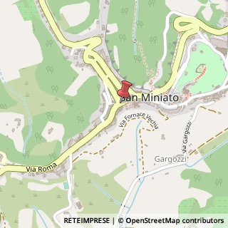 Mappa Via Ser Ridolfo, 9, 56028 San Miniato, Pisa (Toscana)
