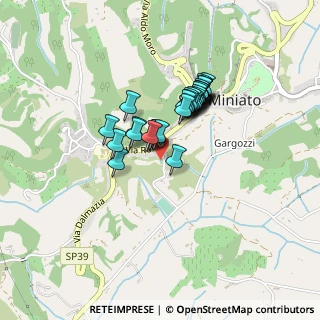 Mappa Via Fornace Vecchia, 56028 San Miniato PI, Italia (0.32)