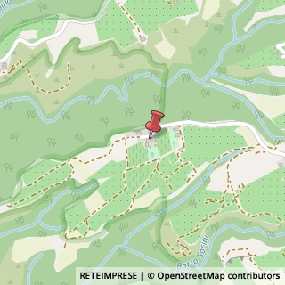 Mappa Via I Ciai, 247, San Lorenzo, 50066 Reggello FI, Italia, 50066 Reggello, Firenze (Toscana)