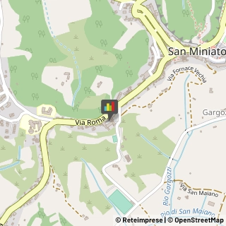 Alberghi San Miniato,56028Pisa