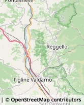 Pelletterie - Ingrosso e Produzione Reggello,50066Firenze