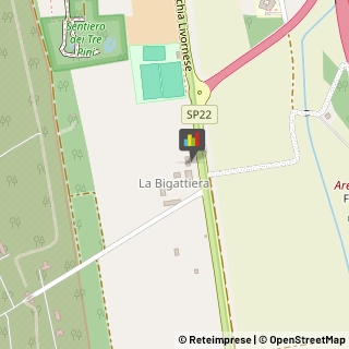 Feste - Organizzazione e Servizi,56100Pisa