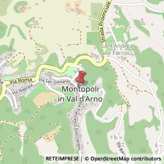 Mappa Via San Stefano, 16, 56020 Montopoli in Val d'Arno, Pisa (Toscana)
