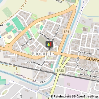 Fisiokinesiterapia - Medici Specialisti,56012Pisa