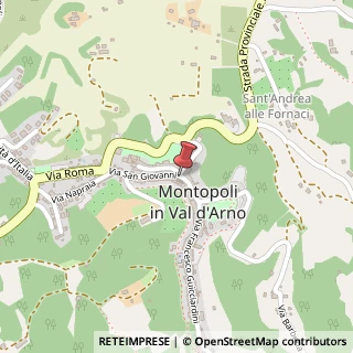 Mappa Via Sant'Andrea,  1, 56020 Montopoli in Val d'Arno, Pisa (Toscana)