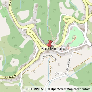 Mappa Via Augusto Conti,  4, 56028 San Miniato, Pisa (Toscana)