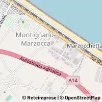 Kort Senigallia