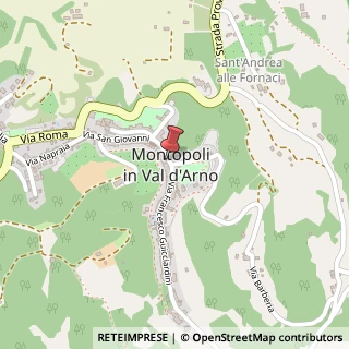 Mappa Via San Stefano, 6, 56020 Montopoli in Val d'Arno, Pisa (Toscana)