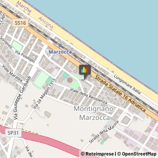 Agenzie Marittime Senigallia,60019Ancona