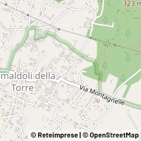 Map Torre del Greco