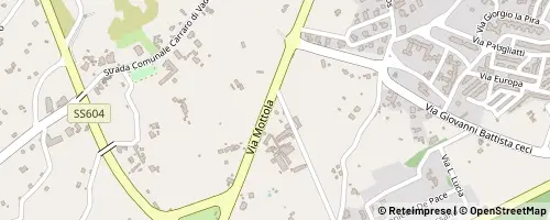Mappa Noci