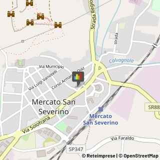 Piante e Fiori - Ingrosso Mercato San Severino,84085Salerno