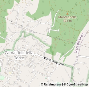 Mappa Via Resina Nuova, 80059 Torre del Greco NA, Italia (0.43846)