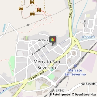 Giardinaggio - Servizio Mercato San Severino,84085Salerno