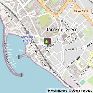 Metalli Nobili e Preziosi Torre del Greco,80059Napoli