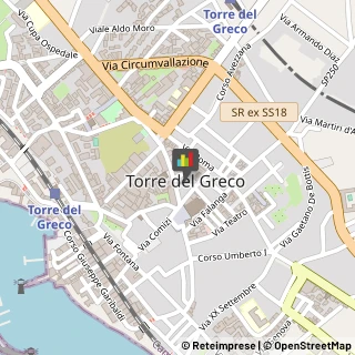 Metalli Nobili e Preziosi Torre del Greco,80059Napoli