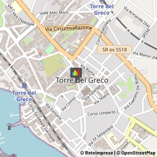 Consulenze Speciali Torre del Greco,80059Napoli