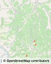 Enoteche Monforte d'Alba,12065Cuneo