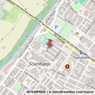 Mappa Via V. Tognoli, 3, 42019 Scandiano, Reggio nell'Emilia (Emilia Romagna)
