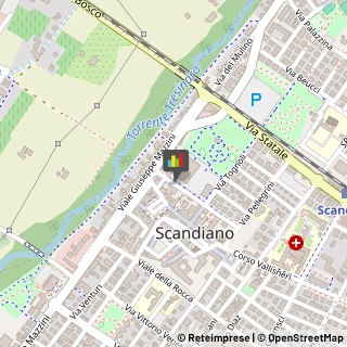 Feste - Organizzazione e Servizi Scandiano,42019Reggio nell'Emilia