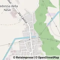 Kort Narzole